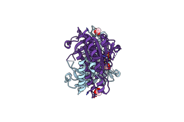 8JSZ image