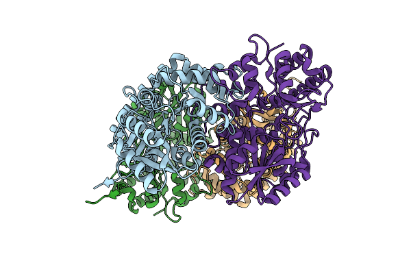 8KDK image