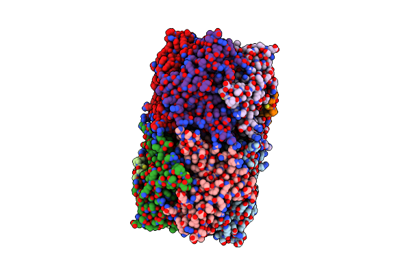 8P11 image