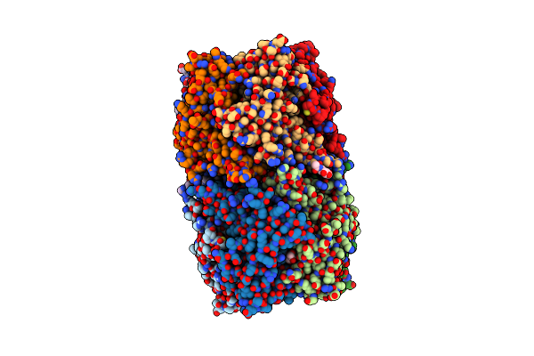 8P1E image