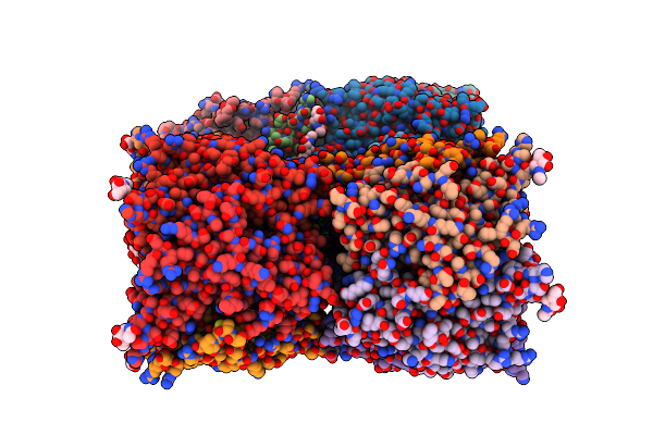 8P1F image