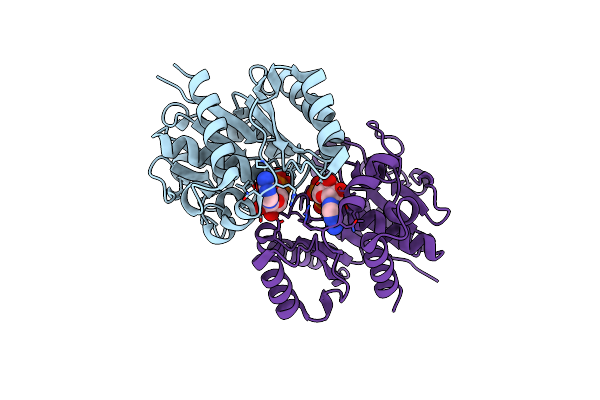 8RAY image