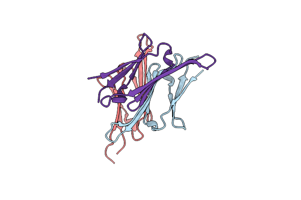 8RHA image