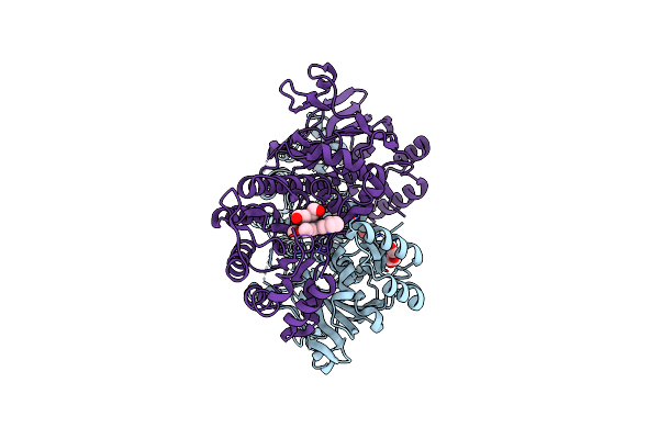 8Y55 image