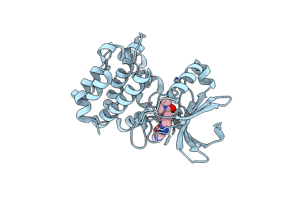 9BZG image