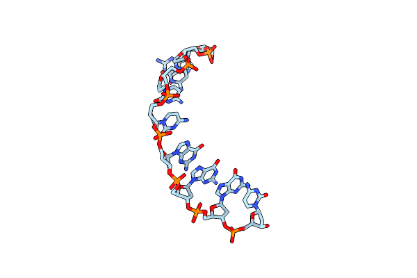 9DNA image