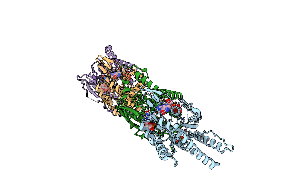 9GD4 image