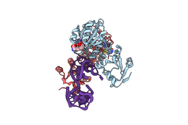 9H1K image