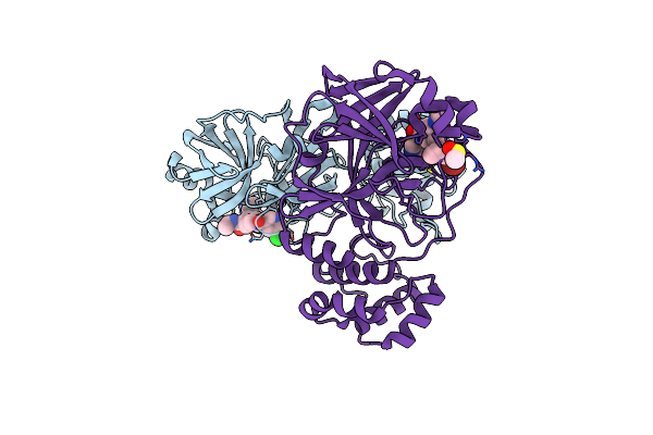 9HAJ image