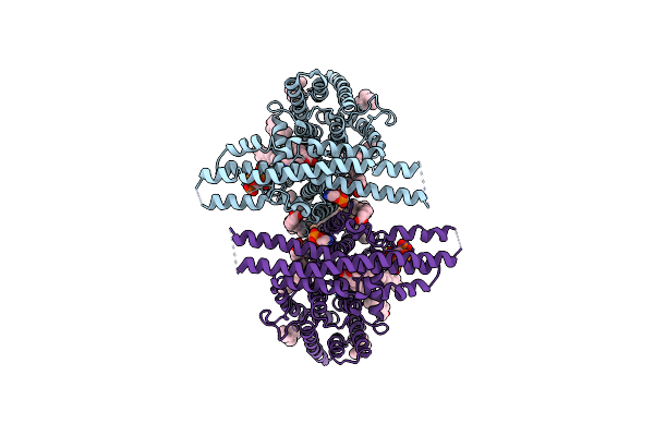 9IUC image
