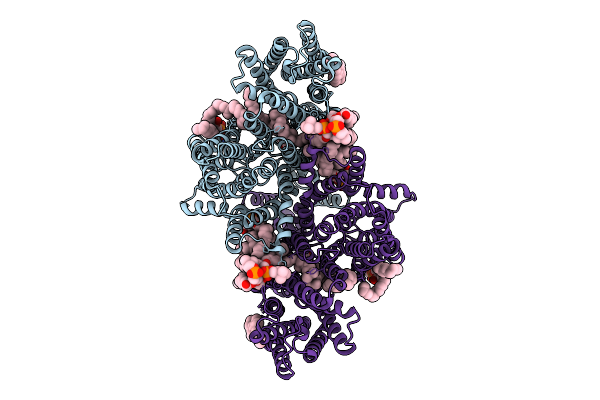 9JBF image