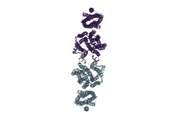 9JBI image